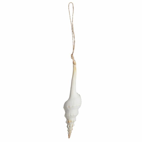 Beach Decorations | Hanging Conch Shell Tree Decoration Tree Decorations Beach Decorations