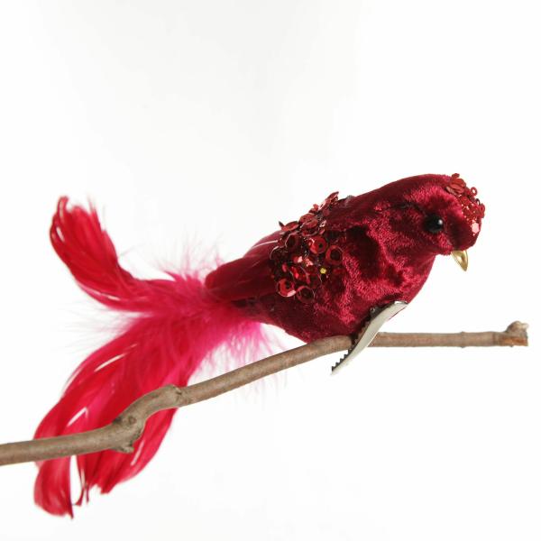 Butterflies And Birds | Red And Sequin Feather Bird Clip Butterflies And Birds Butterflies And Birds