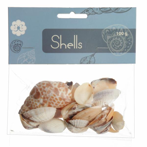 Christmas Craft Supplies | Bag Of Mixed Shells Christmas Craft Supplies Christmas Craft Supplies