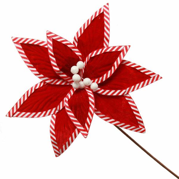 Christmas Flowers | Festive Red Flower Stem With Striped Edge Christmas Flowers Christmas Flowers