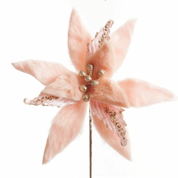 Christmas Flowers | Pink Fur Poinsettia Flower Stem Christmas Flowers Christmas Flowers